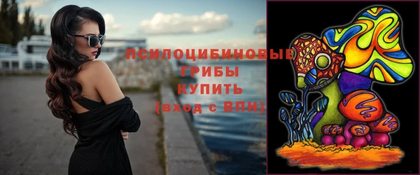 дживик Вязники