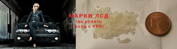 стаф Вяземский