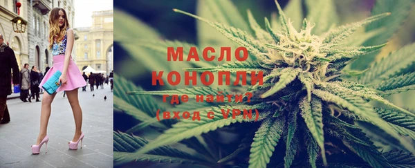 стаф Вяземский