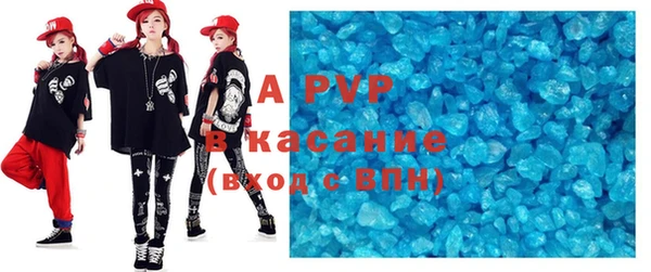 стаф Вяземский
